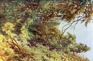 Una radura nella foresta da Robert George Talbot Kelly